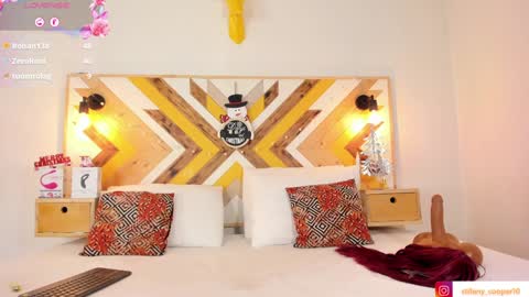 Snapshot of stifany_cooper chatting on December 13, 2024, 11:17 pm stifany cooper online show from December 13, 2024, 11:17 pm