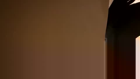 Oval2022 online show from December 5, 2024, 8:55 pm