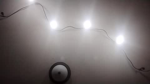 Oval2022 online show from March 19, 2026, 11:58 am