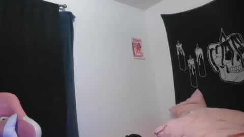 Snapshot of stoned2dabones666 chatting on February 14, 2025, 9:53 pm Haily online show from February 14, 2025, 9:53 pm