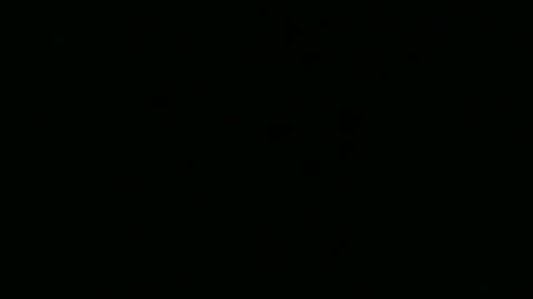 strangerdanger_2 online show from April 10, 2026, 11:37 am