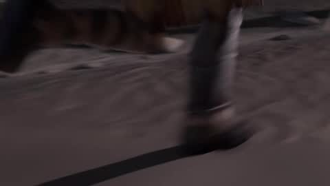 stream247_v2 online show from January 15, 2026, 10:09 am