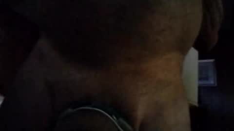 Snapshot of stuffamuffagus69 chatting on November 16, 2025, 1:00 am stuffamuffagus69 online show from November 16, 2025, 1:00 am