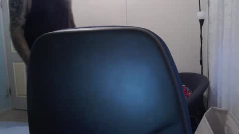 stugang online show from February 17, 2026, 9:50 am