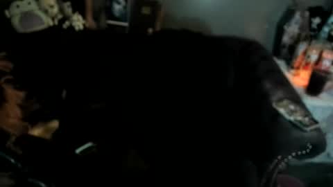 Sugary online show from January 19, 2026, 11:25 am