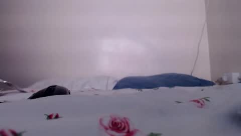 Snapshot of sukmykis chatting on December 17, 2024, 5:51 am sukmykis online show from December 17, 2024, 5:51 am