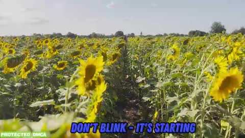 Snapshot of sunflower0907 chatting on February 5, 2026, 9:03 am Tina. Im topless model online show from February 5, 2026, 9:03 am