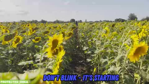 Snapshot of sunflower0907 chatting on February 9, 2026, 1:15 pm Tina. Im topless model online show from February 9, 2026, 1:15 pm