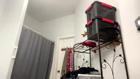 Sunny Clementine online show from November 4, 2025, 10:09 pm