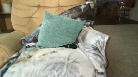 Sunny Clementine online show from March 14, 2026, 5:18 pm