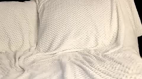 Annie online show from March 12, 2025, 10:17 pm