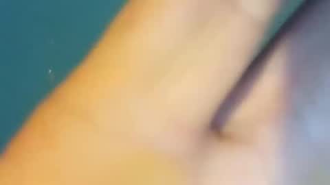 BIGDGEE online show from December 14, 2024, 5:07 am