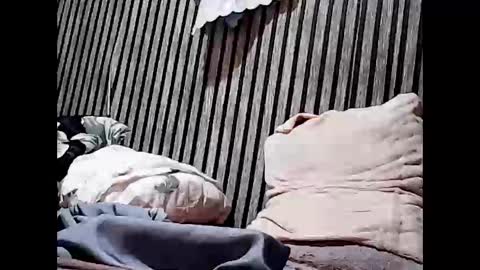 superclit4u online show from November 11, 2025, 8:03 am