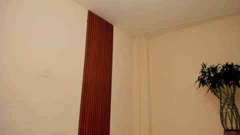 llllSupra llll online show from December 18, 2025, 8:04 pm