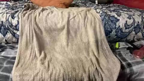 Stony online show from March 3, 2025, 9:48 pm