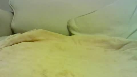 Peter online show from January 10, 2026, 7:04 pm