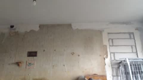 Sveti online show from February 1, 2025, 2:02 pm