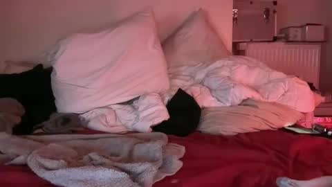 Snapshot of swannmonroe21 chatting on March 25, 2026, 5:24 am Horny French Arab online show from March 25, 2026, 5:24 am