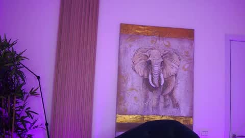 Lilly online show from October 12, 2025, 7:29 am