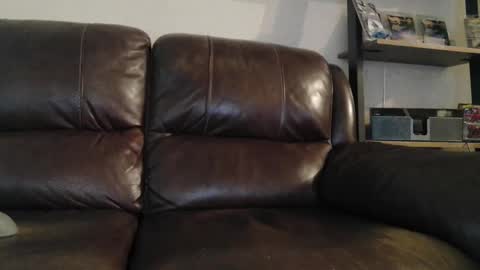 sweetcocksean online show from March 10, 2026, 11:43 pm