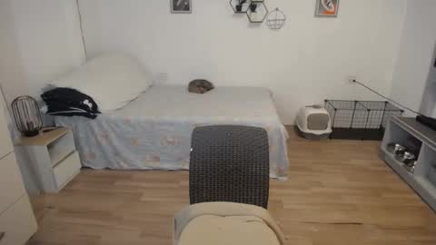 Snapshot of sweetcuteangel chatting on December 5, 2024, 8:44 am angel 3 online show from December 5, 2024, 8:44 am