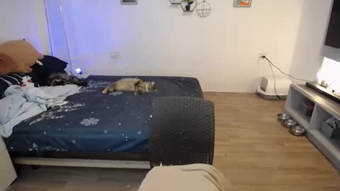 Snapshot of sweetcuteangel chatting on January 21, 2025, 4:48 pm angel 3 online show from January 21, 2025, 4:48 pm