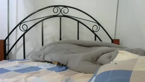 Snapshot of sweetvalariy chatting on January 24, 2025, 11:59 am sweetvalariy online show from January 24, 2025, 11:59 am