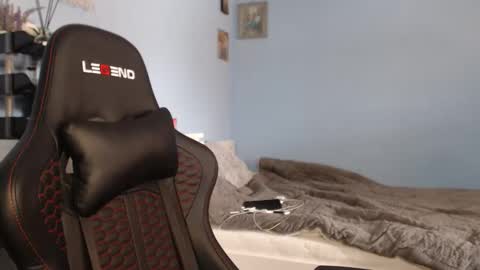 Cat online show from February 9, 2026, 10:08 am