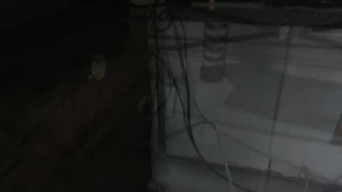 sxulx2c online show from December 14, 2024, 6:24 am