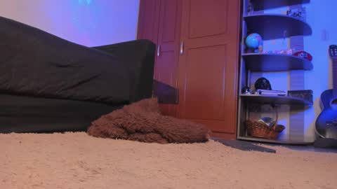 Syd online show from December 18, 2024, 2:32 am