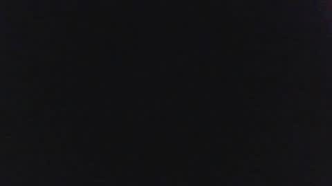 sylvertaurus1 online show from October 31, 2025, 11:55 am