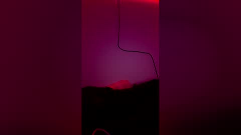 t_wilo online show from April 2, 2026, 4:21 am