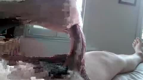 Tactful1 online show from April 3, 2026, 5:11 pm