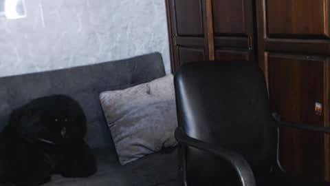 Tairon Tucke online show from December 18, 2024, 1:48 am