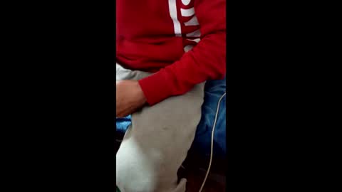 Taitotoito online show from January 16, 2026, 2:04 am