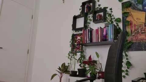 Tali Majid online show from February 16, 2026, 8:16 pm