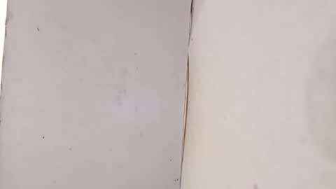 Snapshot of tall6feet7inch chatting on February 1, 2026, 10:08 pm tall6feet7inch online show from February 1, 2026, 10:08 pm