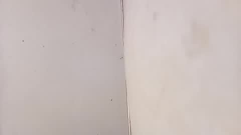 Snapshot of tall6feet7inch chatting on February 3, 2026, 7:13 am tall6feet7inch online show from February 3, 2026, 7:13 am