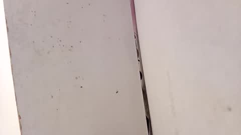 Snapshot of tall6feet7inch chatting on February 15, 2026, 3:31 pm tall6feet7inch online show from February 15, 2026, 3:31 pm