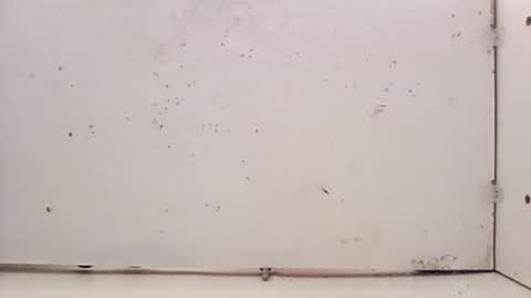 Snapshot of tall6feet7inch chatting on February 27, 2026, 5:24 pm tall6feet7inch online show from February 27, 2026, 5:24 pm