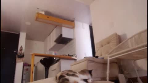 Tamara online show from March 15, 2026, 8:15 pm