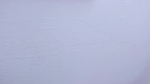 Snapshot of tamara_slimx chatting on February 9, 2025, 9:47 am Tamara online show from February 9, 2025, 9:47 am