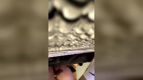 tampa0boner0donor online show from January 19, 2026, 5:22 am