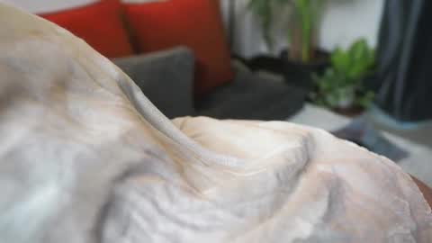 Snapshot of tasty_tomato chatting on February 21, 2025, 8:40 am RHEA  pronanciation like Reya   online show from February 21, 2025, 8:40 am