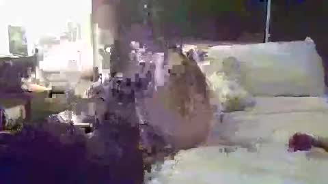 tatibaby4 online show from January 14, 2026, 6:19 am