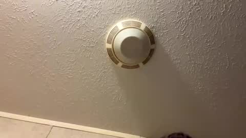 Lilbeebs online show from October 27, 2025, 10:58 pm