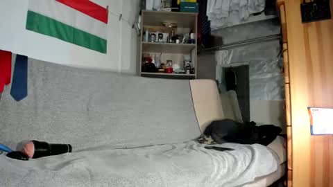 Virg Lszl online show from January 13, 2026, 10:53 am