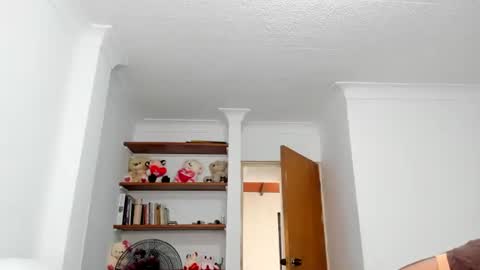 Teles2023 online show from February 3, 2025, 1:30 pm