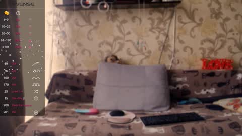 Ada  online show from December 22, 2025, 9:28 am