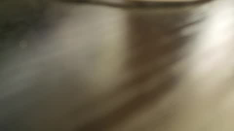 Ada  online show from March 1, 2026, 8:16 am